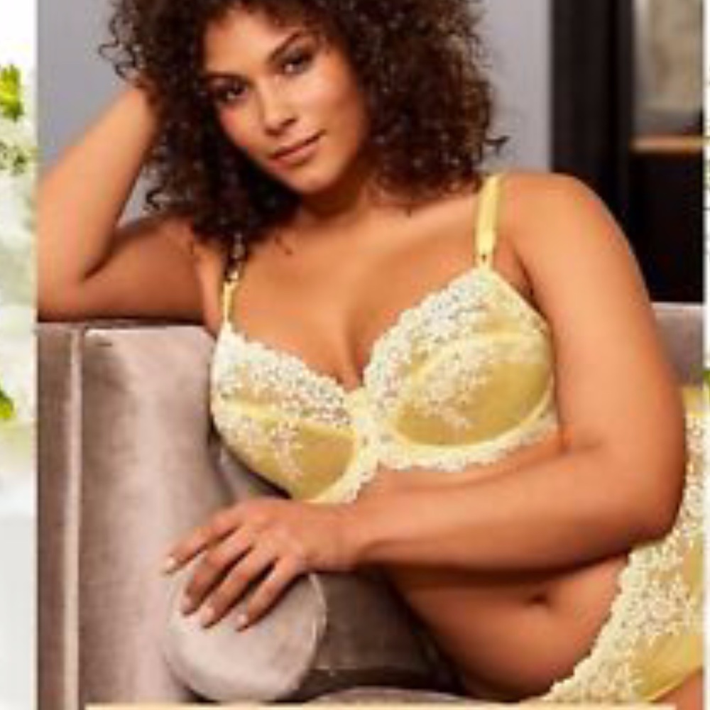 Luxury Embrace Lace Lingerie Set